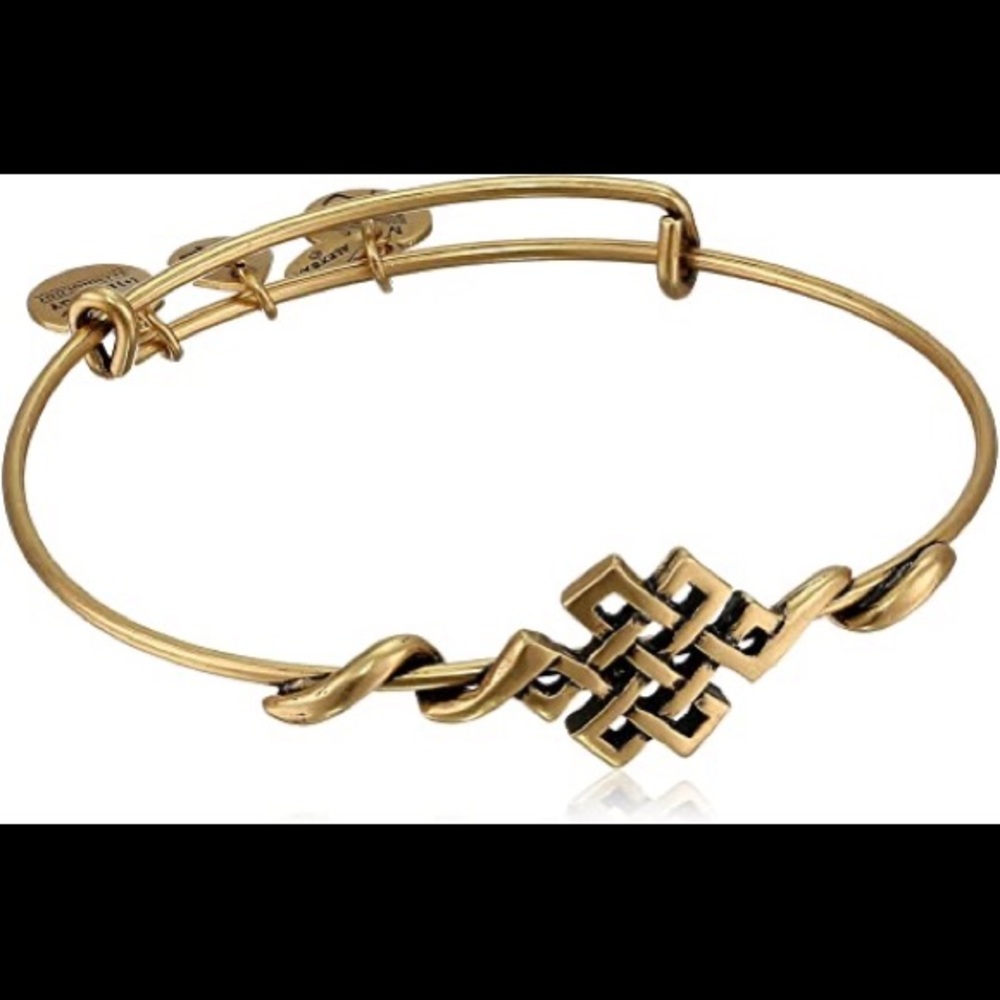 Alex and Ani spiritual armor endless knot bracelet
